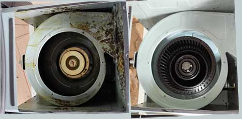 ��ˮ/����һ�w��ϴ�CЧ��